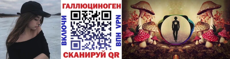 где купить   Полесск  Псилоцибиновые грибы мицелий 